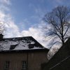 Weihnachtsbaumverkauf 2012